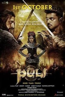 Puli